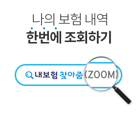 나의 보험 내역 한번에 조회하기