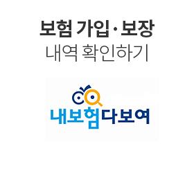 보험 가입·보장 내역 확인하기
